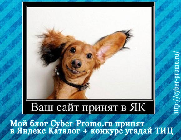 Мій блог Cyber-Promo.ru прийнятий в Яндекс Каталог