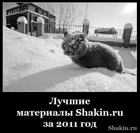 Лучшіе матеріали Shakin.ru за 2011 год