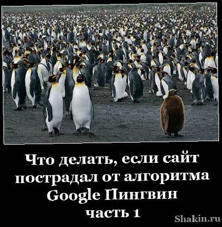 Що робити, якщо сайт постраждав від алгоритму Google Пінгвін - частина 1 