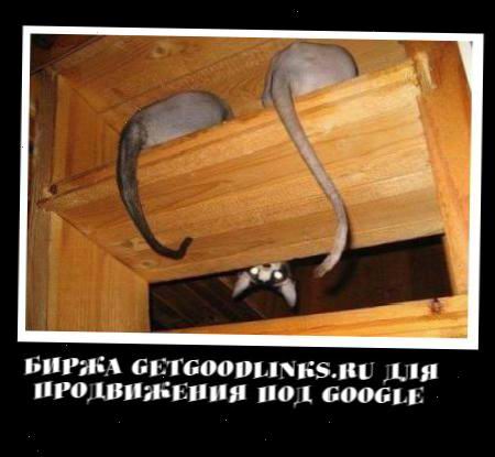 4b838e53d7322 Біржа GetGoodLinks.ru для просування під Google